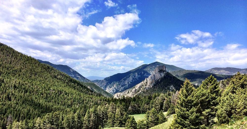 Mountain valley, forest below meadows