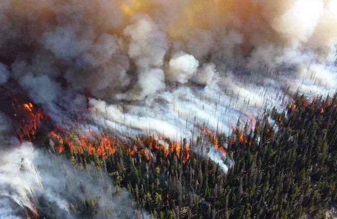 Wildfire